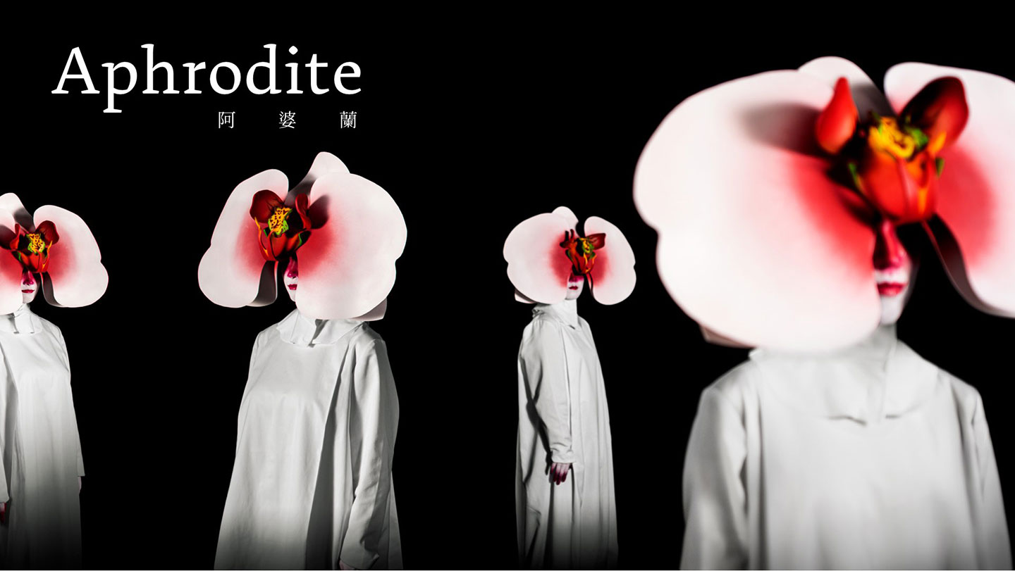阿婆蘭 Aphrodite